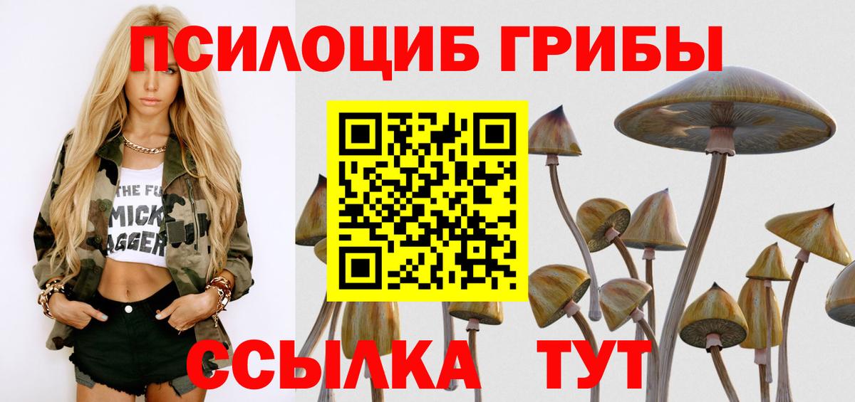продажа наркотиков  Псилоцибиновые грибы Psilocybine cubensis  Вход с VPN  Владимир  Галлюциногенные грибы мухоморы 